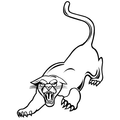 Cougar